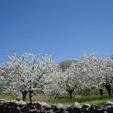 Abuela Pastora Apartment El Torno (Extremadura)