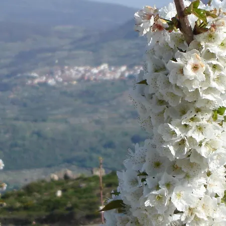 Abuela Pastora El Torno (Extremadura)