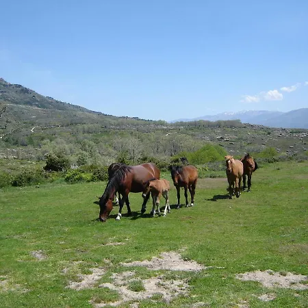 Abuela Pastora Apartment El Torno (Extremadura)