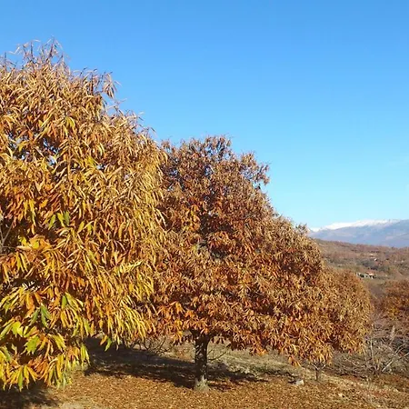 Apartment Abuela Pastora