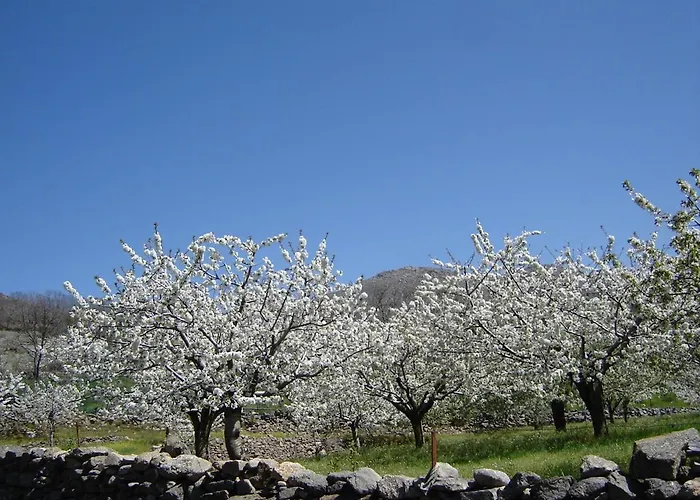 Abuela Pastora Appartement El Torno (Extremadura)