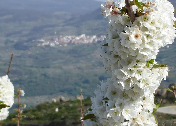 Abuela Pastora El Torno (Extremadura)