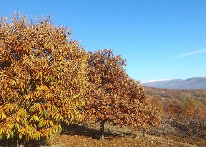 Apartment Abuela Pastora